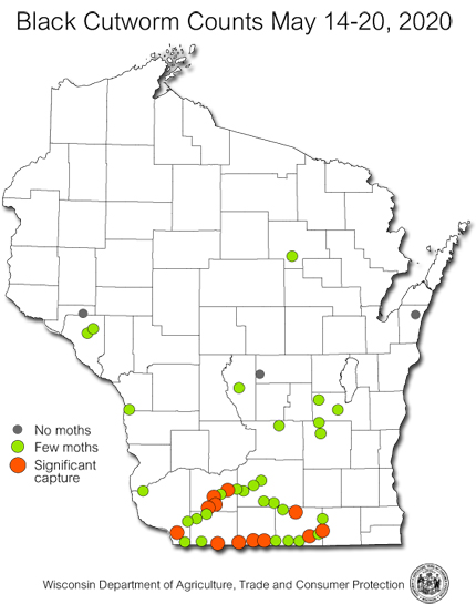 Wisconsin Pest Bulletin