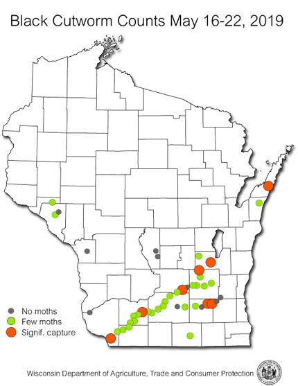 Wisconsin Pest Bulletin